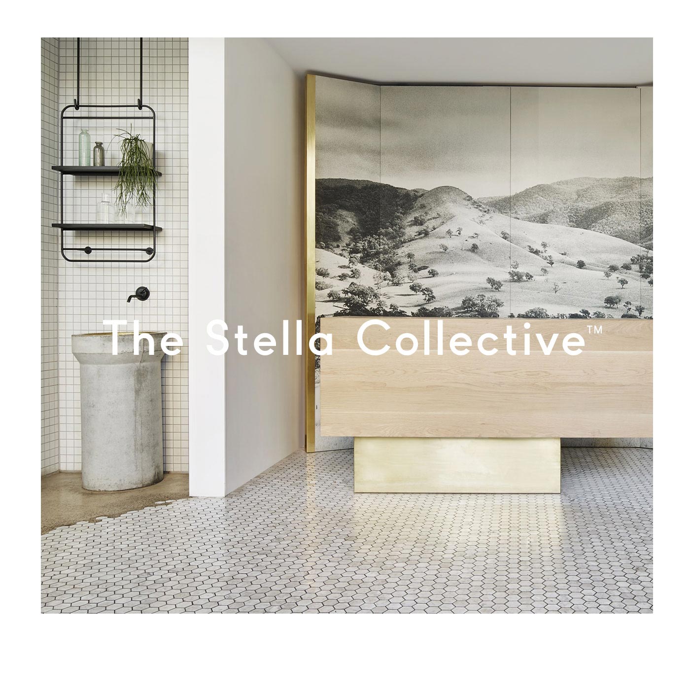 The Stella Collective