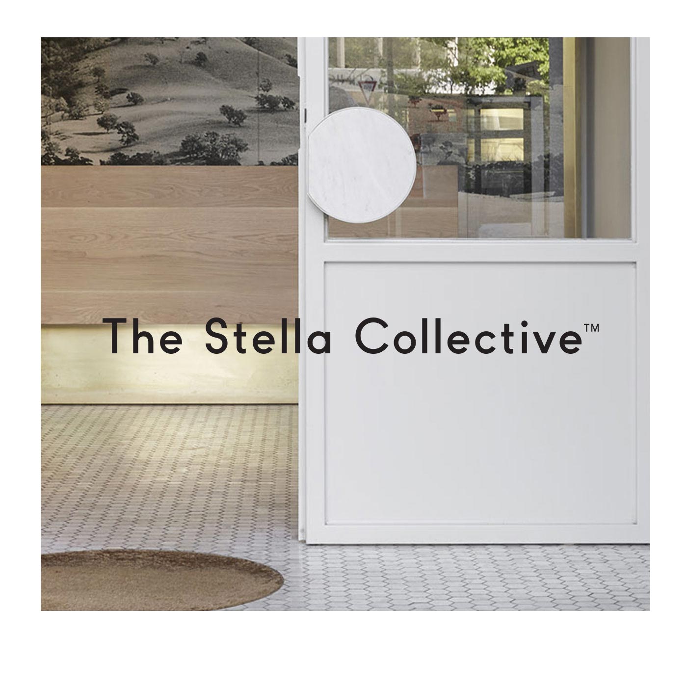 The Stella Collective