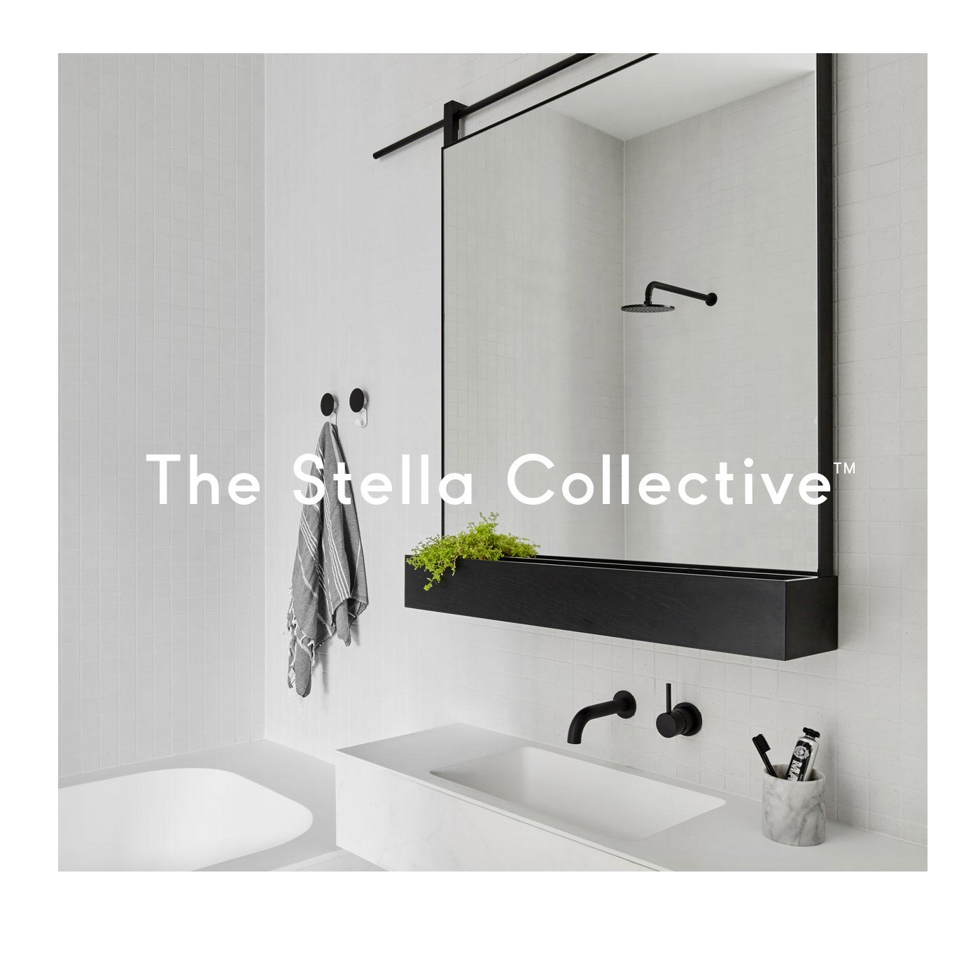 The Stella Collective