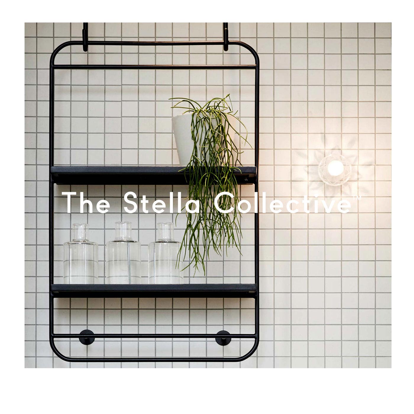 The Stella Collective